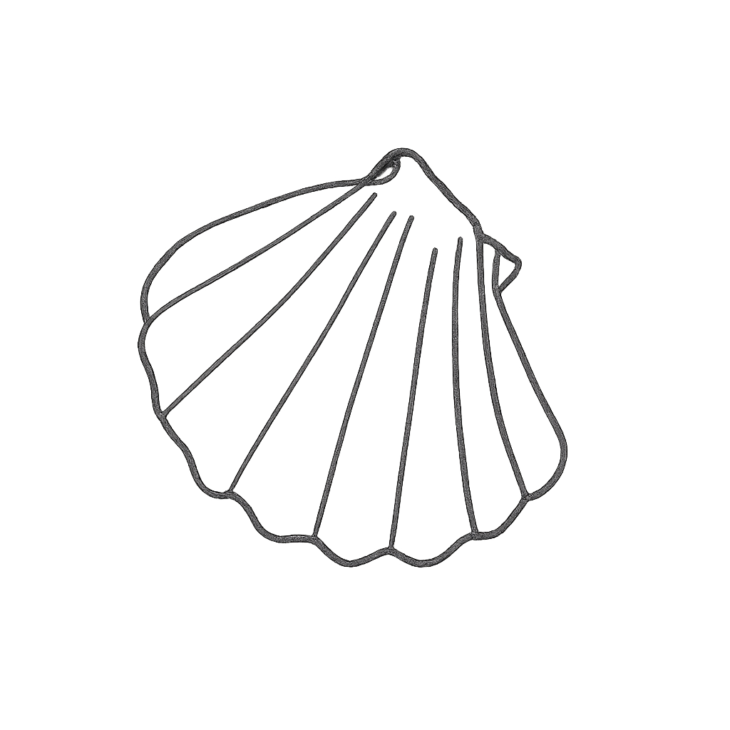 Seashell Doodle